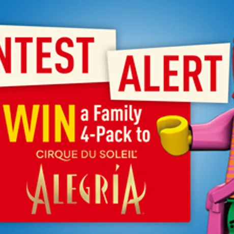 Social Contest Cirque